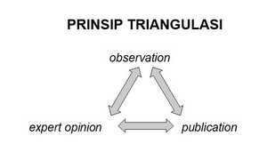 Prinsip Triangulasi