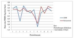 Grafik pertambahan berat badan harian (kg/ekor/hari) sapi potong yang diberi pakan UMB dan pakan konsentrat
