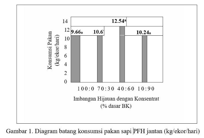 Pengemukan Sapi Pfh Peranakan Friesian Holstein Pustakadunia Com
