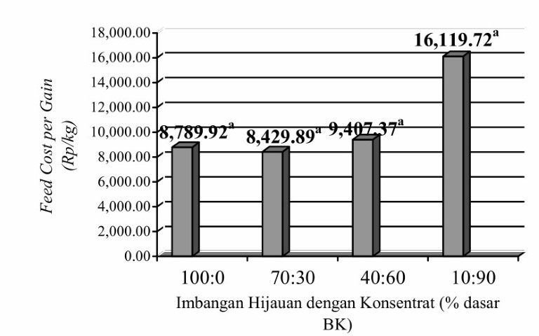 Pengemukan Sapi Pfh Peranakan Friesian Holstein Pustakadunia Com