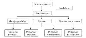 Struktur Organisasi 