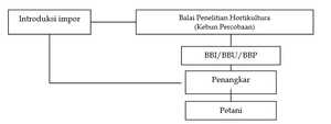 Arus Benih Tanaman Hias